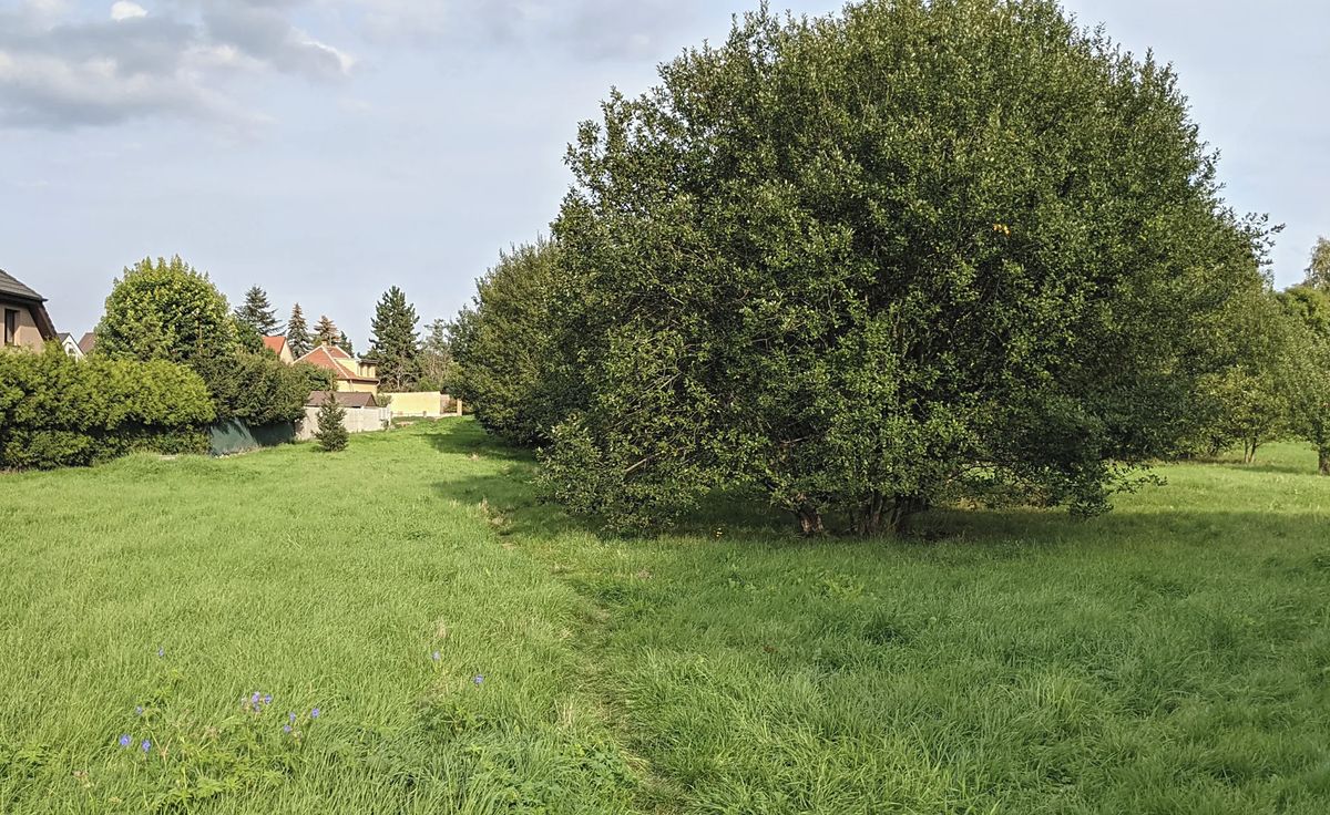 Prodej stavebního pozemku 4912 m², Kladno – fotka 1 z 3