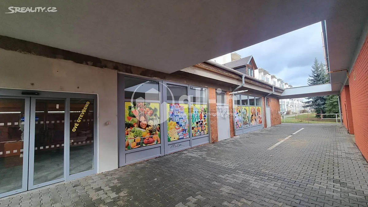 Pronájem obchodního prostoru 252 m²