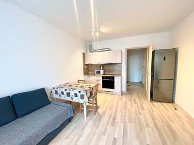 Pronájem bytu 1+kk 32 m²