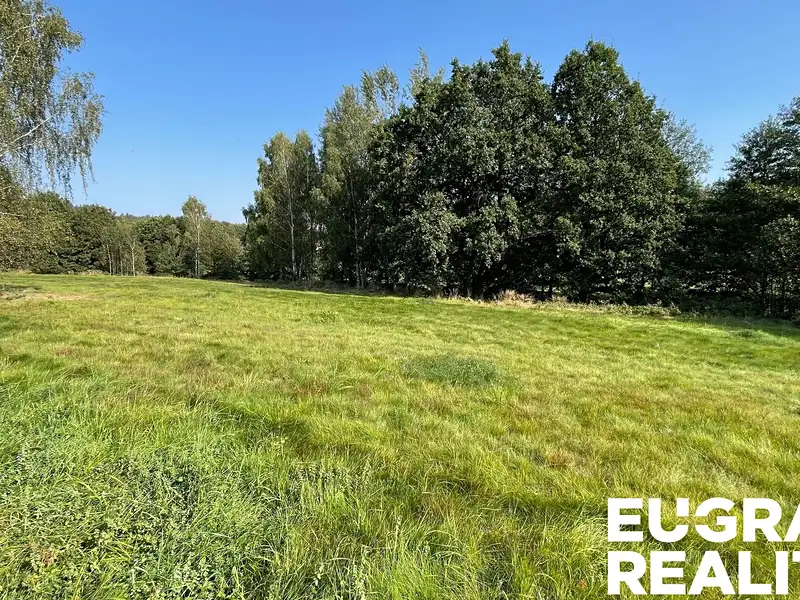 Prodej louky 14798 m², Šluknov – náhled fotky 1