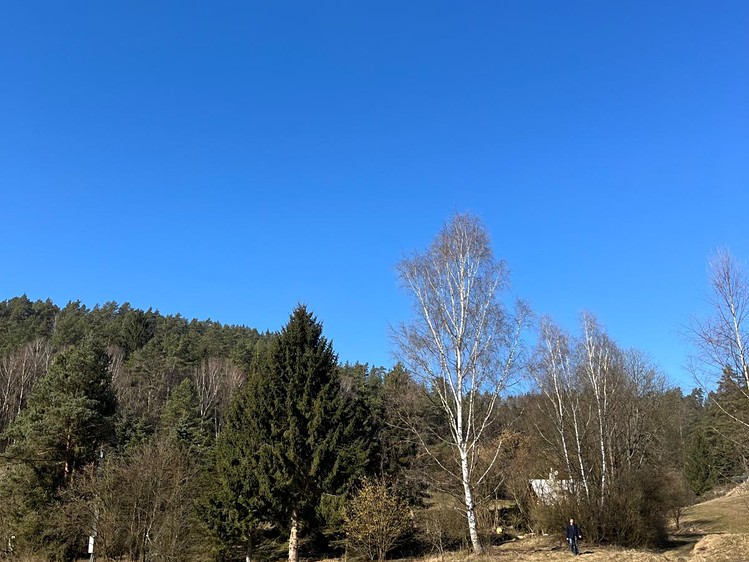 Prodej pozemku, 5 083 m² (8 z 9)
