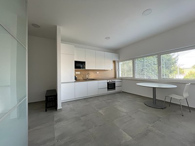 Pronájem bytu 1+kk 67 m²