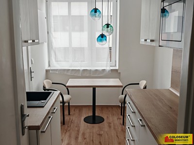 Pronájem bytu 1+1 45 m²