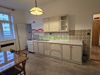 Pronájem bytu 1+1 42 m²