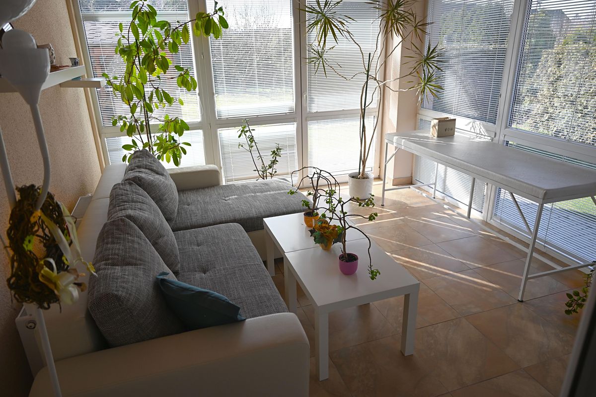 Prodej rodinného domu 98 m², pozemek 972 m² – fotografie 2