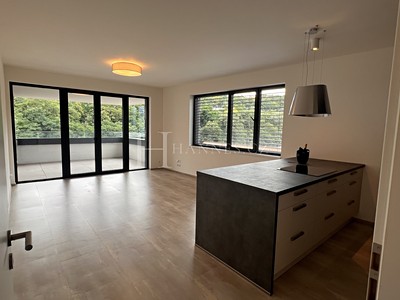 Pronájem bytu 2+kk 65 m² (Jednopodlažní)