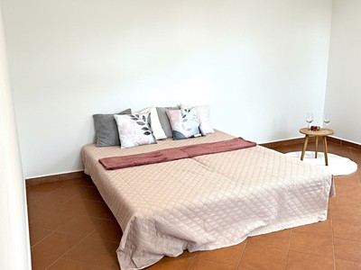 Pronájem bytu atypické 100 m² (Jednopodlažní)