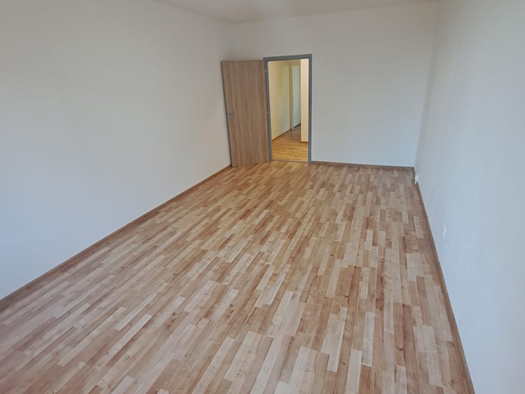 Pronájem bytu 3+1, 66 m² (4 z 10)