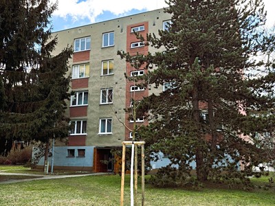 Pronájem bytu 3+1 68 m²