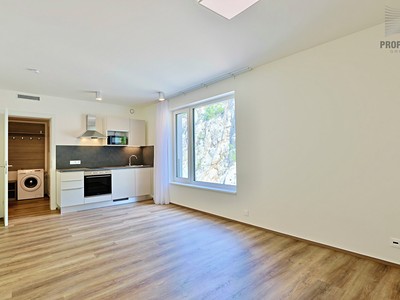 Pronájem bytu 1+kk 30 m²