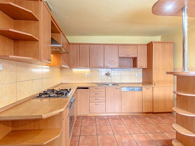 Prodej  rodinného domu 255 m², pozemek 3 056 m² — photo 4