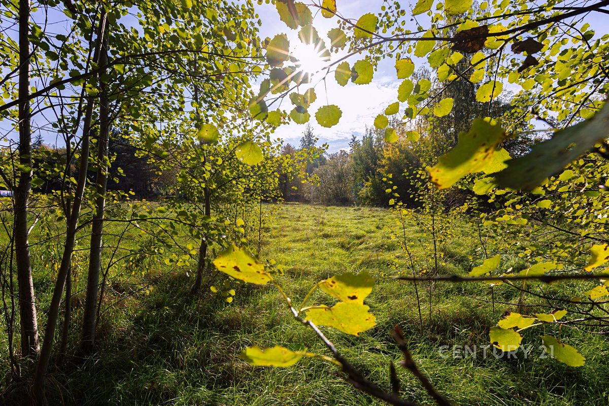 Prodej stavebního pozemku 2511 m² – fotografie 5