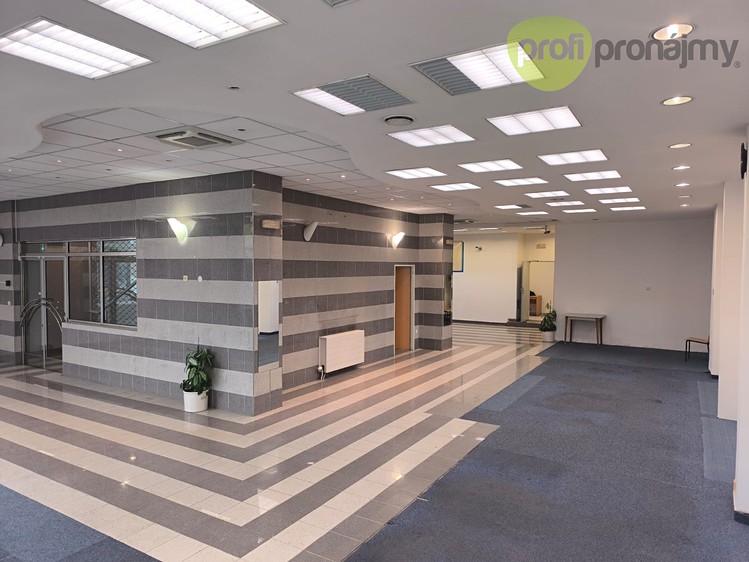 Pronájem komerčního prostoru, 170 m² (4 z 6)