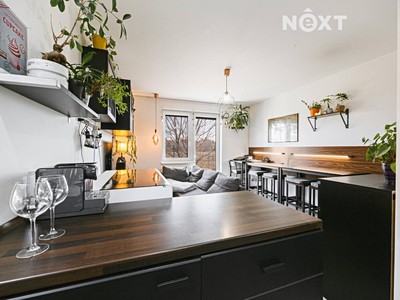 Prodej bytu 3+kk 64 m² (Jednopodlažní)