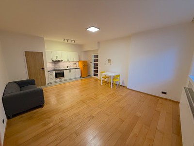 Pronájem bytu 1+kk 45 m² (Jednopodlažní)