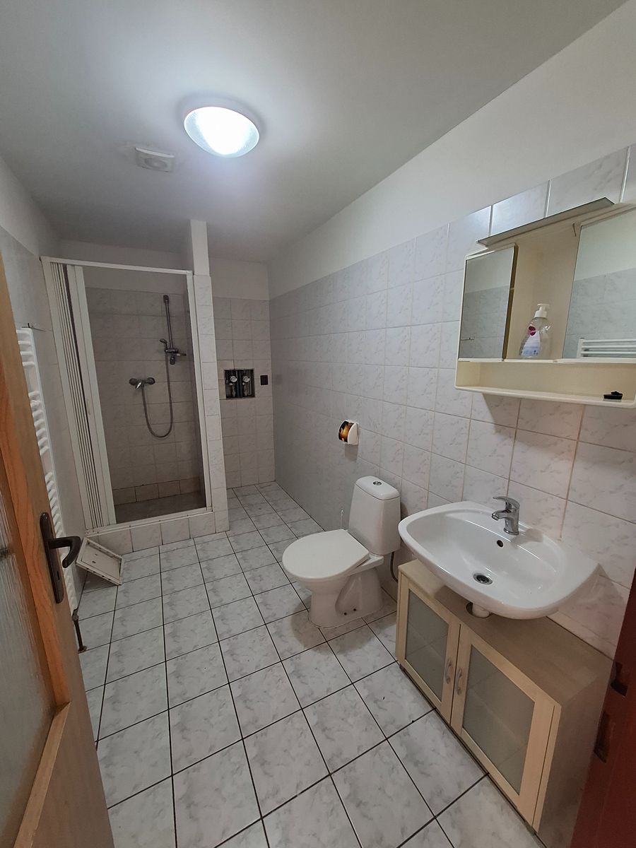 Pronájem bytu 1+1 45 m² – fotografie 3