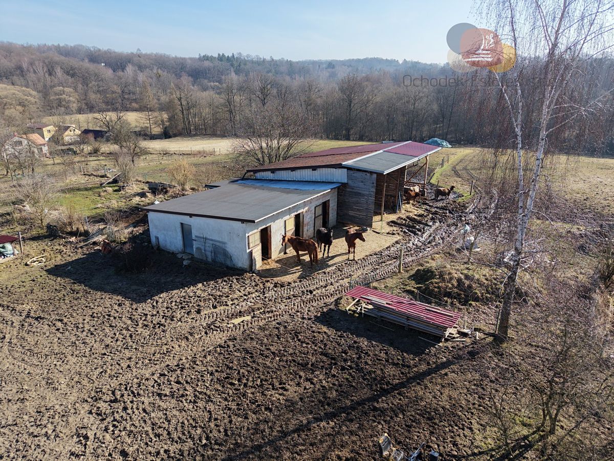 Prodej rodinného domu 129 m², pozemek 17842 m² – fotografie 5