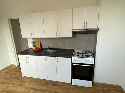 Pronájem bytu 3+1 72 m²