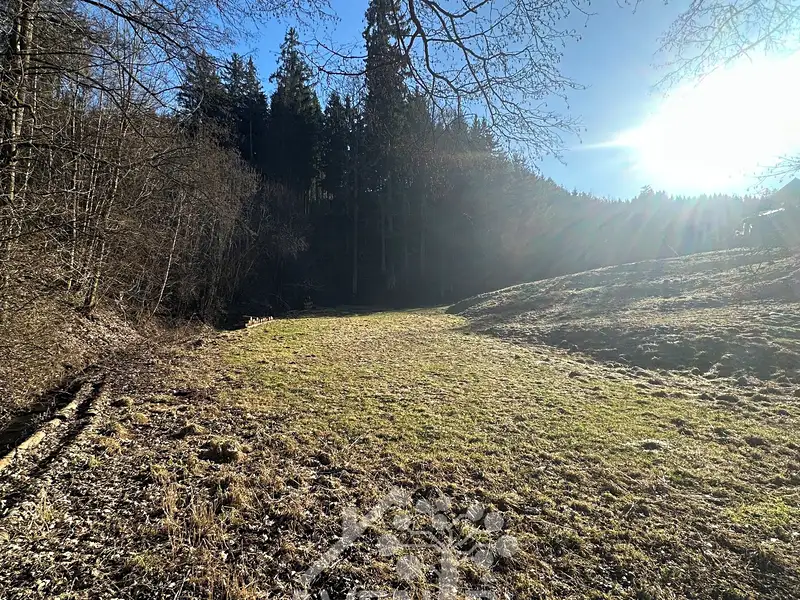 Prodej louky 5815 m², Bozkov – náhled fotky 3