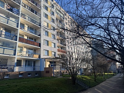 Pronájem bytu 2+kk 42 m² (Jednopodlažní)