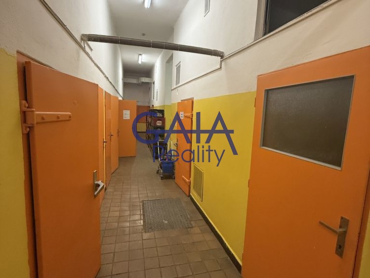 Prodej komerčního prostoru, 600 m² (10 z 24)