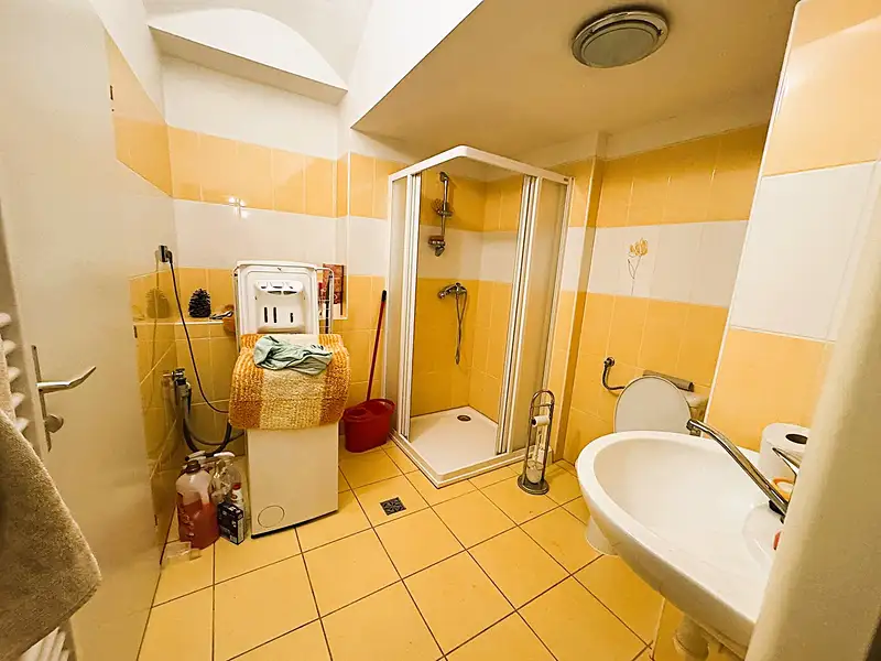 Prodej rodinného domu 250 m², pozemek 395 m², Jemnice – náhled fotky 3