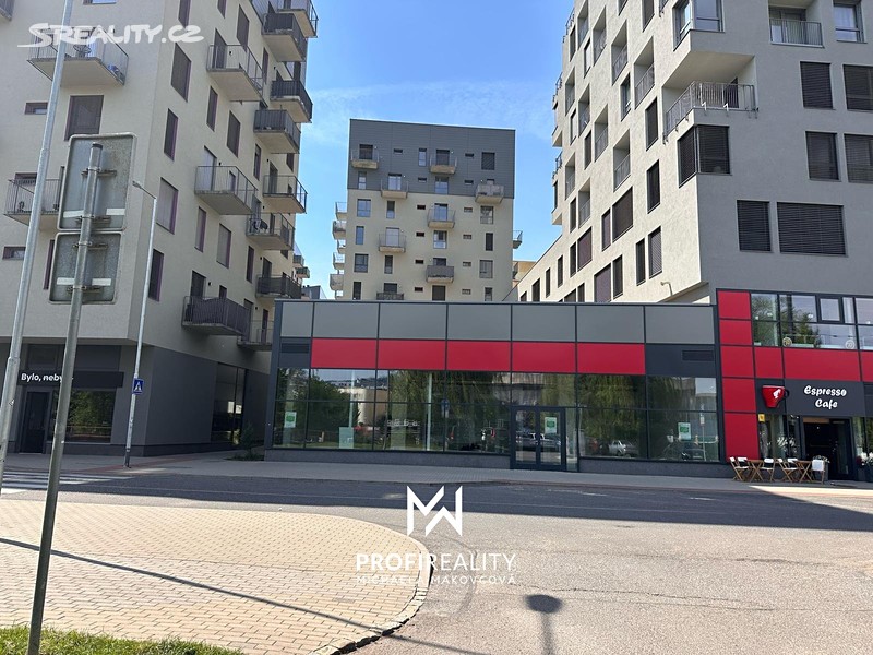 Pronájem obchodního prostoru 168 m² – pohled 2