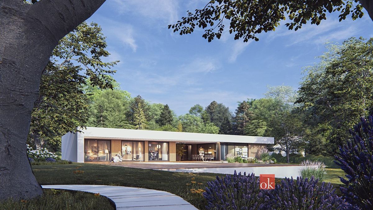 Prodej rodinného domu 248 m², pozemek 816 m² – fotografie 3