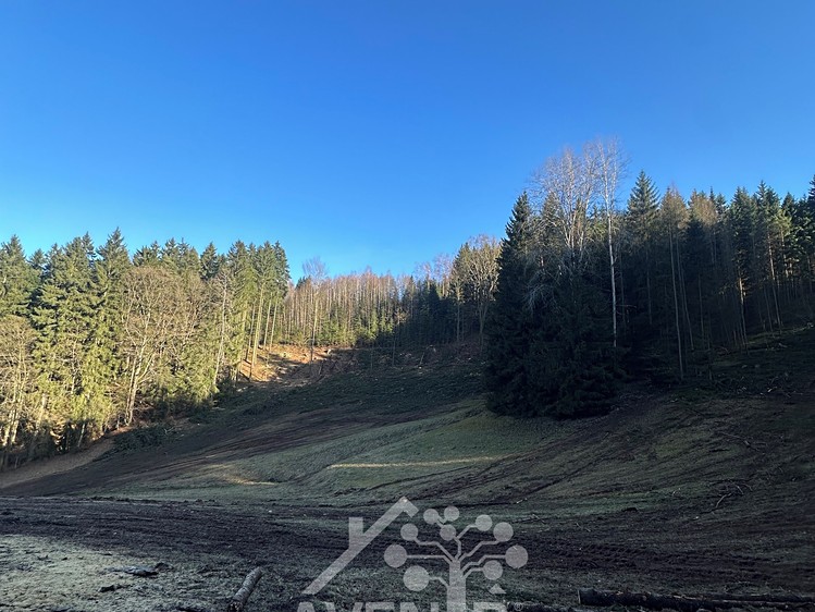 Grundstück zum Kauf, 15.029 m² (10 von 11)