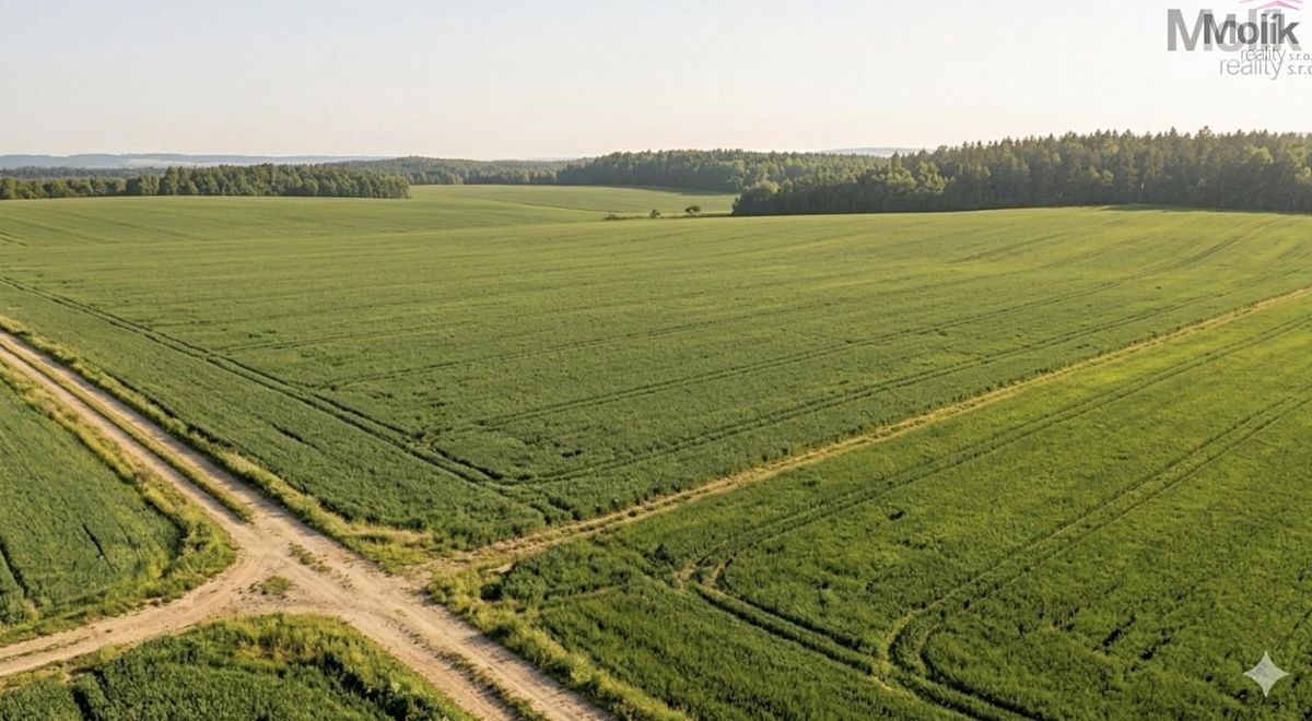 Prodej pole 3780 m² – fotografie 2