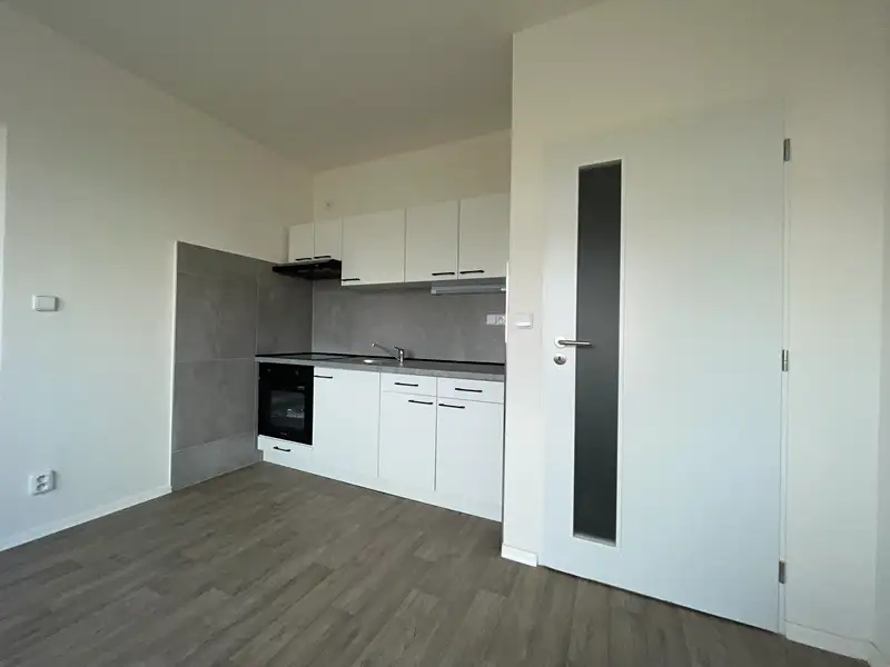 Pronájem bytu 1+1 35 m², Ústí nad Labem – náhled fotky 2