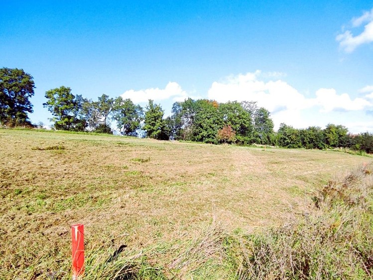 Prodej pozemku, 1 000 m² (4 z 10)