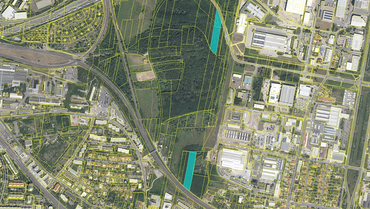 Prodej lesa 12598 m²