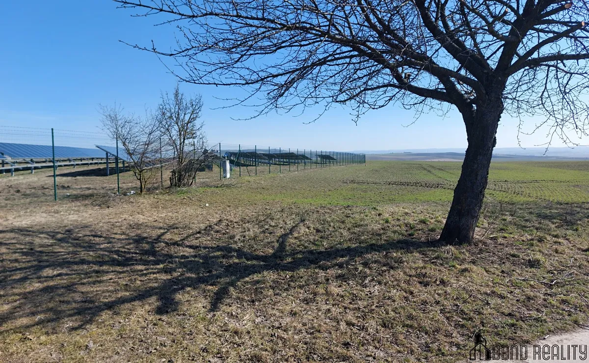 Prodej komerčního pozemku 917 m² — fotografie 6