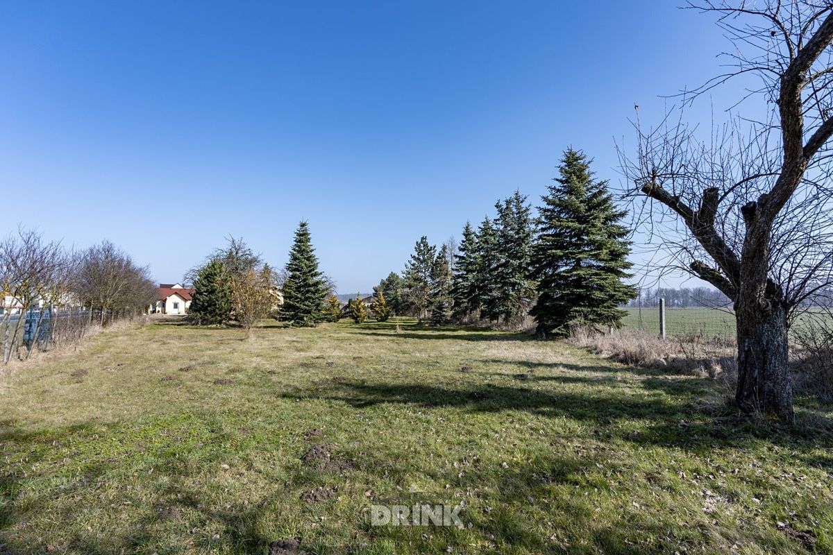 Pronájem komerčního pozemku 1700 m² – fotografie 5