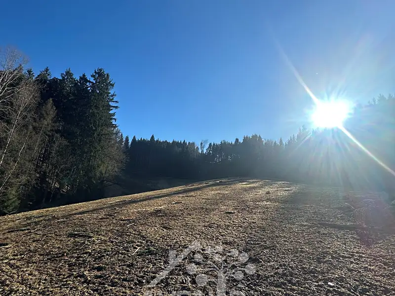 Prodej louky 15029 m², Bozkov – náhled fotky 1