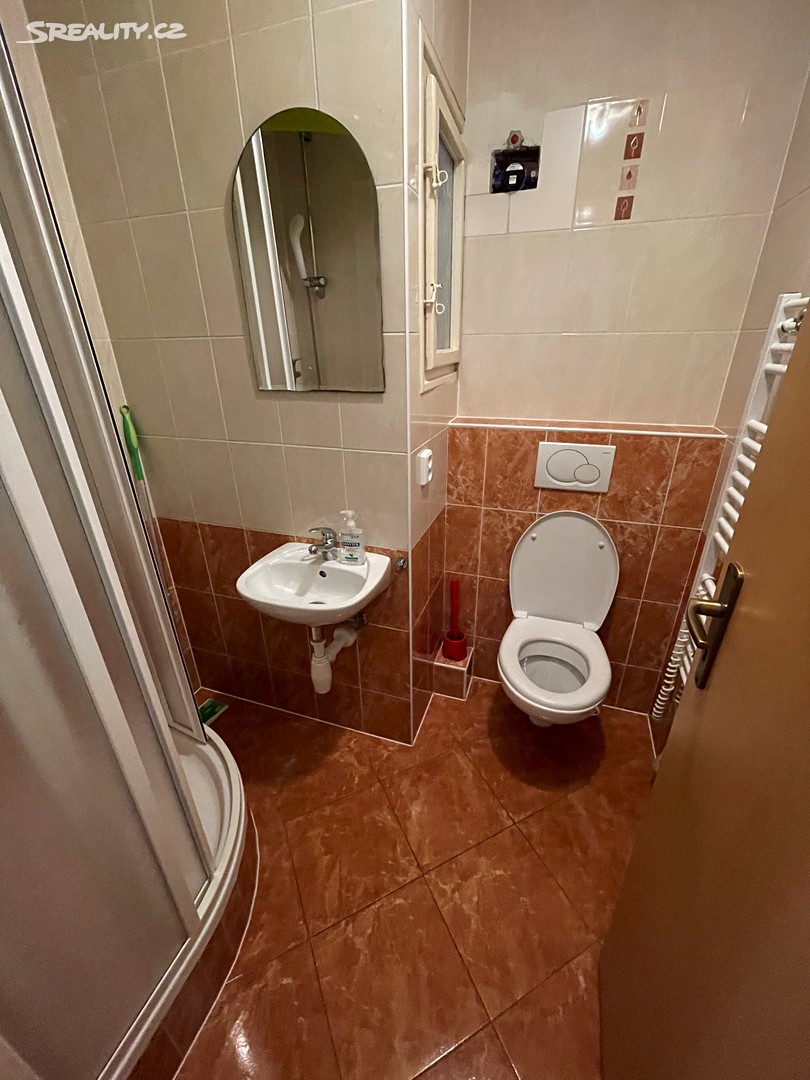 Pronájem bytu 1+kk 30 m² – pohled 2