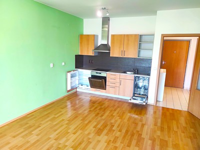 Pronájem bytu 1+kk 39 m² (Jednopodlažní)
