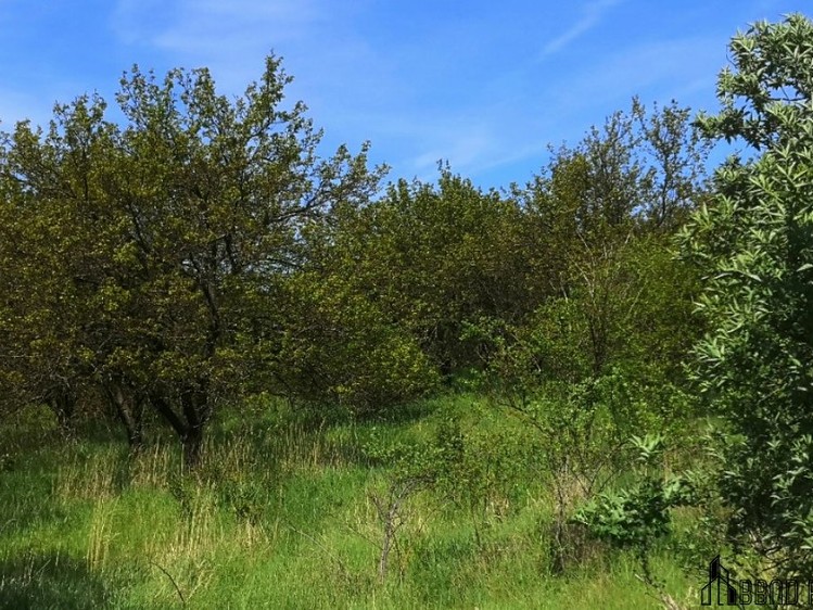 Grundstück zum Kauf, 22.292 m² (10 von 13)