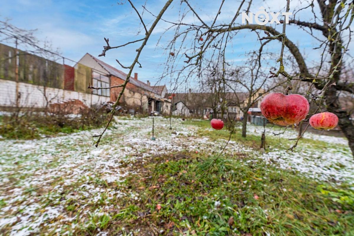 Prodej rodinného domu 184 m², pozemek 2371 m² – fotografie 4