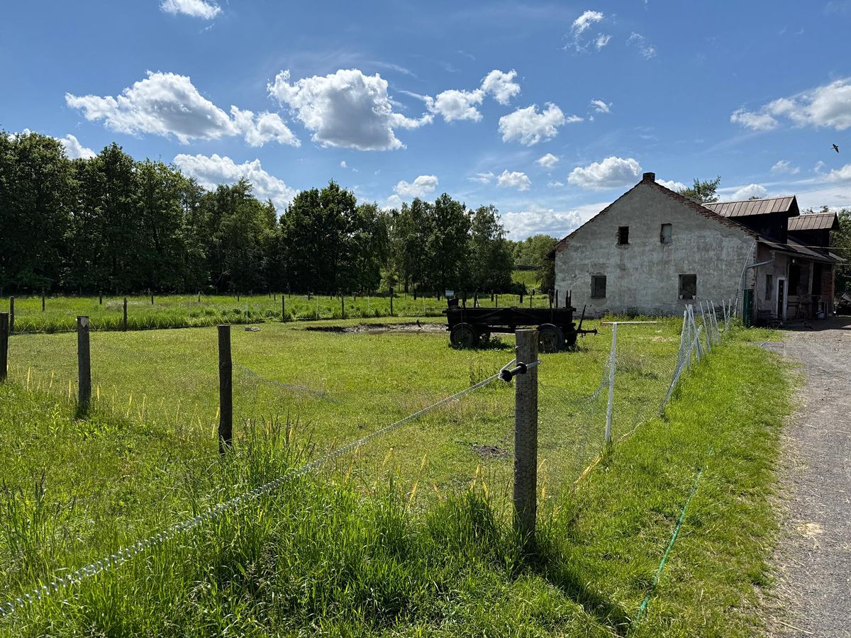 Prodej zemědělské usedlosti 1241 m², pozemek 51793 m² – fotografie 2