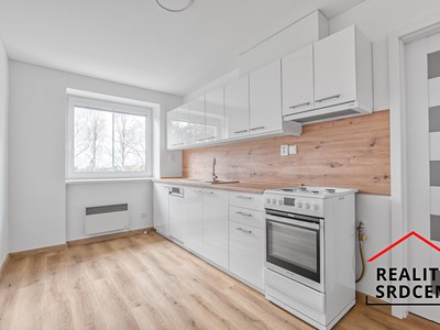 Pronájem bytu 1+1 48 m²