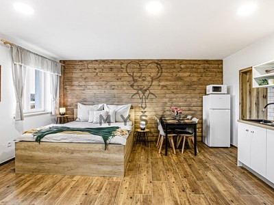 Pronájem bytu 1+kk 40 m²