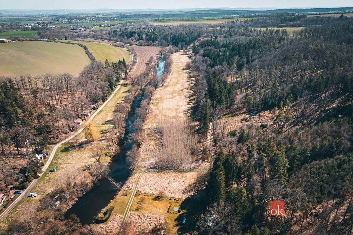Prodej lesa 4109 m², Plešnice – fotka 1 z 3