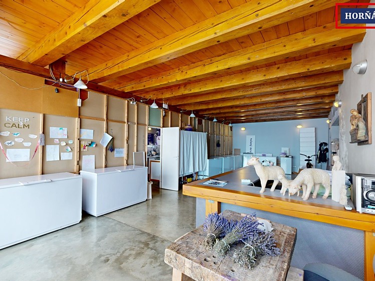 Prodej domu, 900 m² (11 z 19)