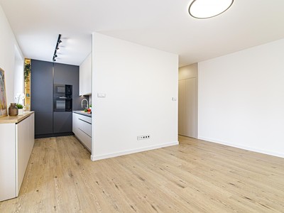 Pronájem bytu 2+1 55 m² (Jednopodlažní)