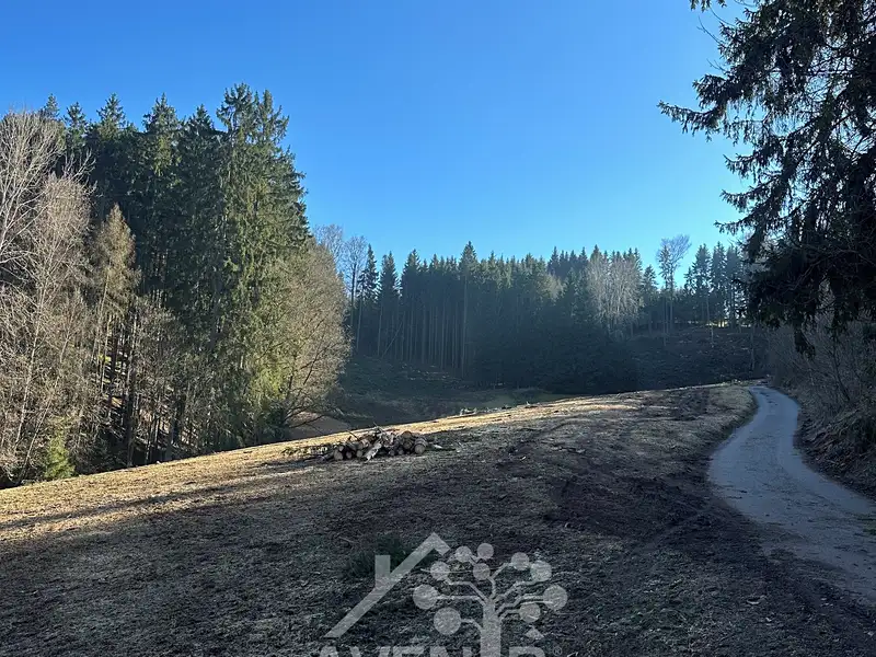 Prodej louky 15029 m², Bozkov – náhled fotky 2