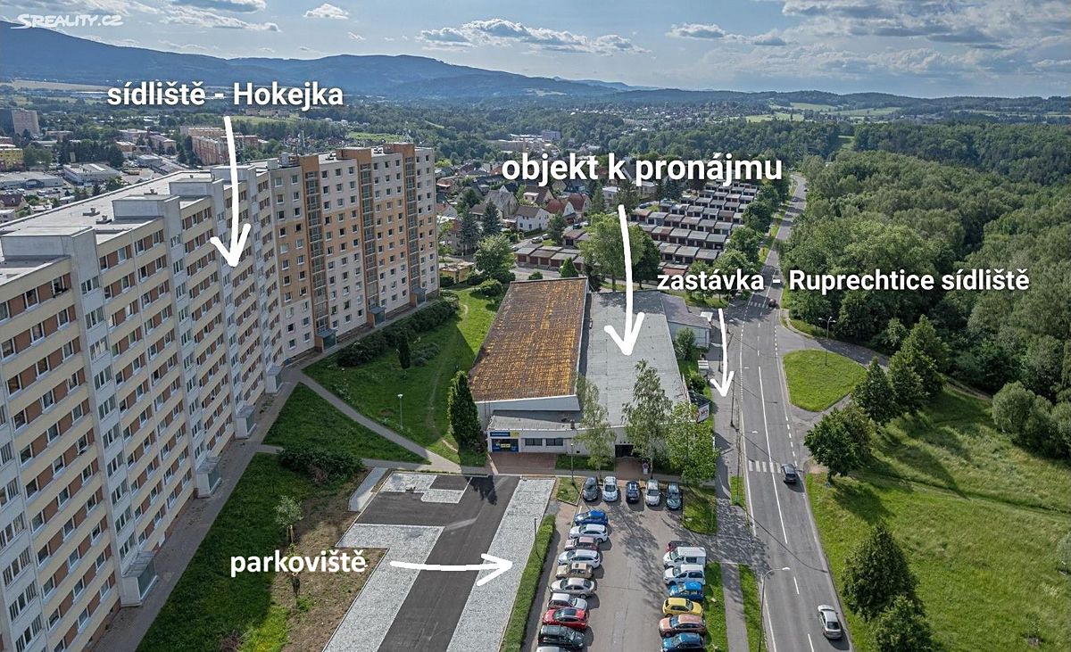 Pronájem obchodního prostoru 685 m²