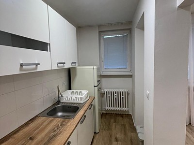 Pronájem bytu 1+kk 36 m² (Jednopodlažní)
