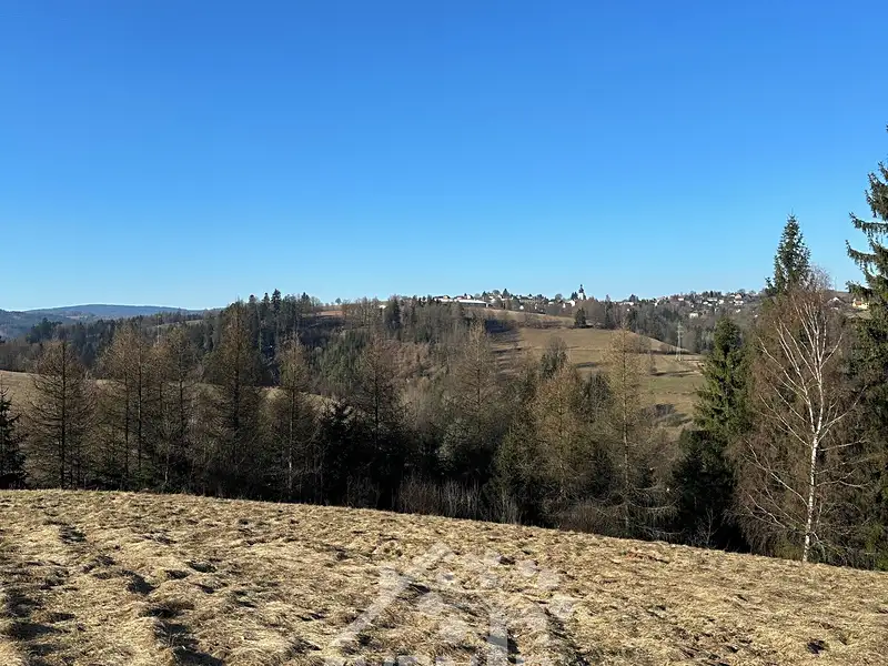 Prodej louky 14441 m², Bozkov – náhled fotky 1